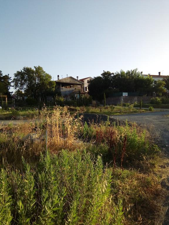 Carlo'S Country House Castellina Marittima Eksteriør bilde